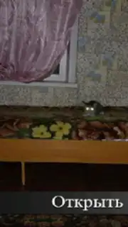 Пять Ночей С Ёжиком capture 5