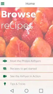 Airfryer capture 2