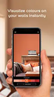 Dulux Visualizer IN capture 5