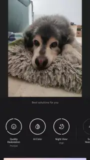 Wink capture 12