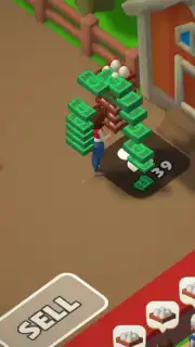 Township capture 8