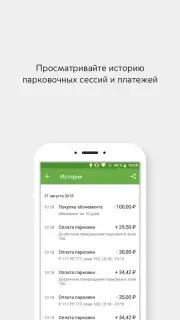 Парковки России capture 5