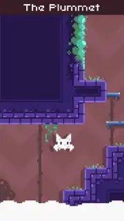 Cat Bird capture 3
