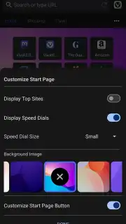 Vivaldi capture 5
