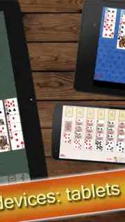 Solitaire Collection capture 11