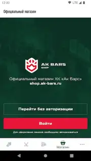 ХК Ак Барс capture 3