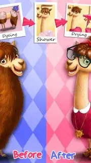 Animal Hair Salon capture 4