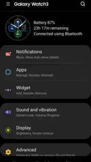 Galaxy Wearable (Samsung Gear) capture 3