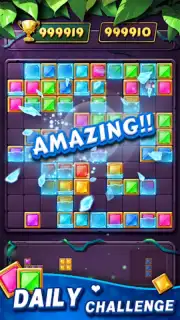 Block Puzzle capture 4