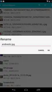 Sliding Explorer capture 4