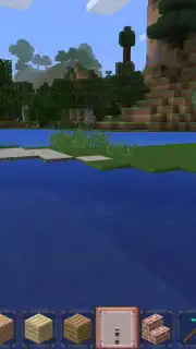 Minicraft capture 9