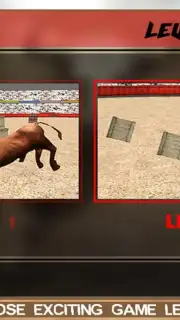 Angry Bull Attack Arena Sim 3D capture 1