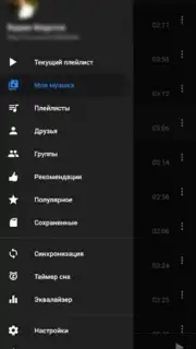 BiRD - Музыка из ВК capture 2