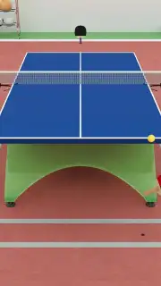 Virtual Table Tennis capture 6