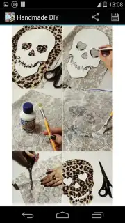 Handmade DIY capture 3