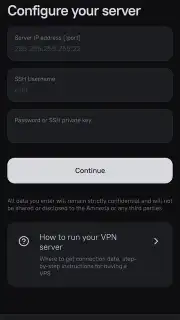 Amnezia VPN capture 11