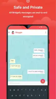 Bridgefy capture 6