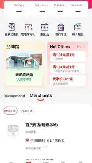 UnionPay capture 5