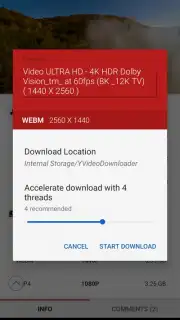 YVideo Downloader capture 3