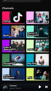 TikTok Music capture 3