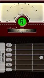 Pro Guitar Tuner capture 5