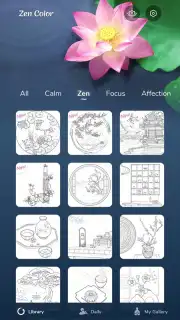 Zen Color capture 17