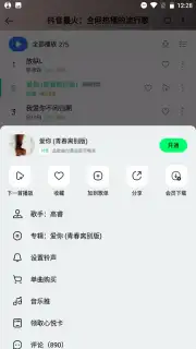 QQ Music capture 2