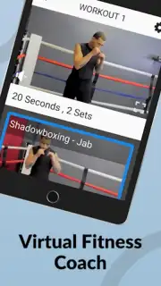 Ultimate MMA Fighting Program capture 3