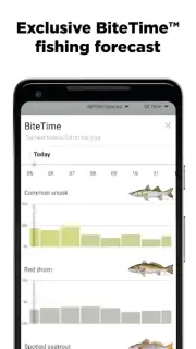 FishBrain capture 3