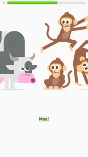 Duolingo ABC capture 2