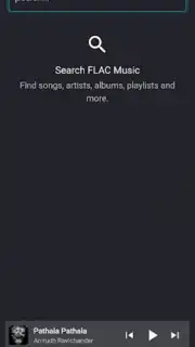 FLAC Music capture 1