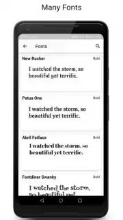 Themes Manager capture 4