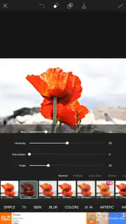 PicsArt capture 27