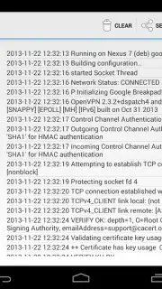 OpenVPN capture 9