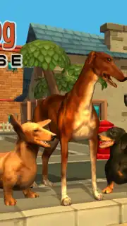 Doggy Dog Universe capture 2