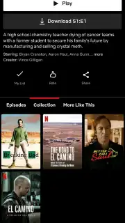 Netflix capture 17