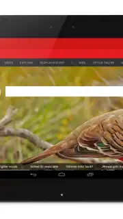 Anonymous Browser capture 2