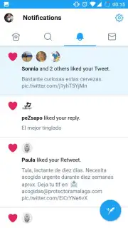 Twitter Lite capture 5