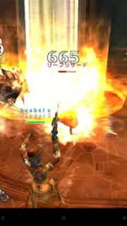 AVABEL Online capture 11