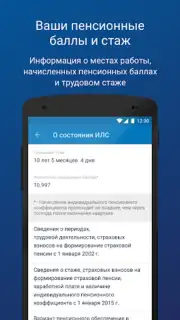 ПФР Электронные сервисы capture 3