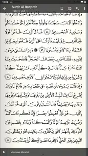Quran Android capture 4