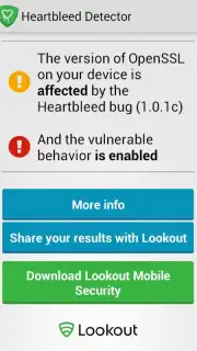 Heartbleed Security Scanner capture 1