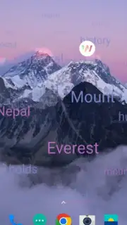 WordWall capture 7