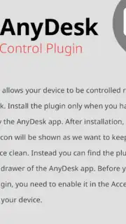 AnyDesk plugin ad1 capture 8