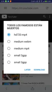 TubeSaver-Free YouTube video downloader capture 5