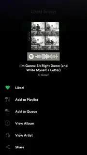 Spotify capture 22