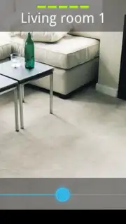 In.Sight capture 2
