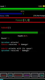 Random Adventure Roguelike capture 9