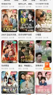 Hongguo capture 3
