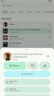 VIVI Music capture 3